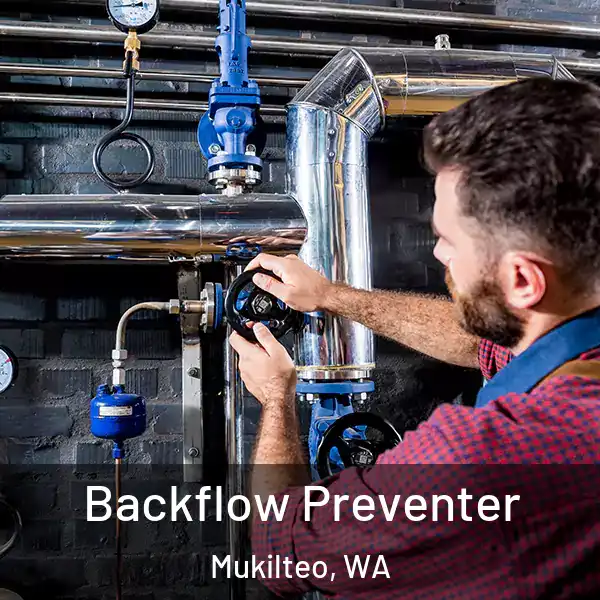  Backflow Preventer Mukilteo, WA