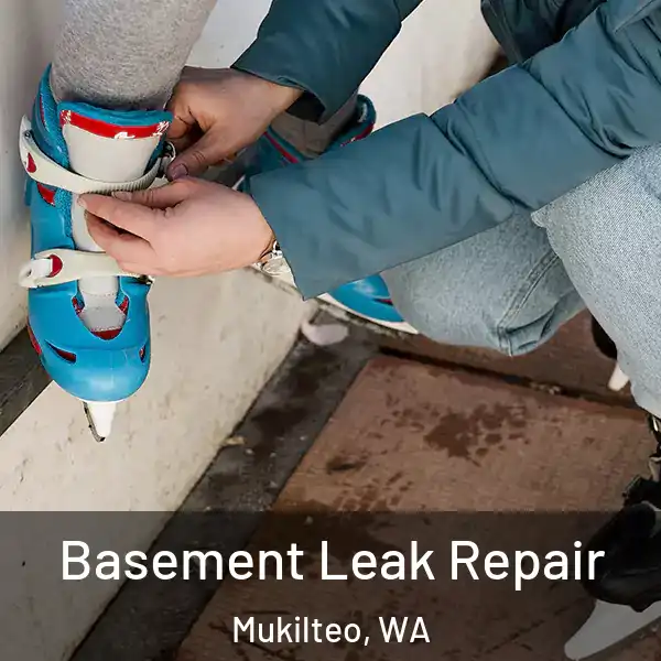  Basement Leak Repair Mukilteo, WA