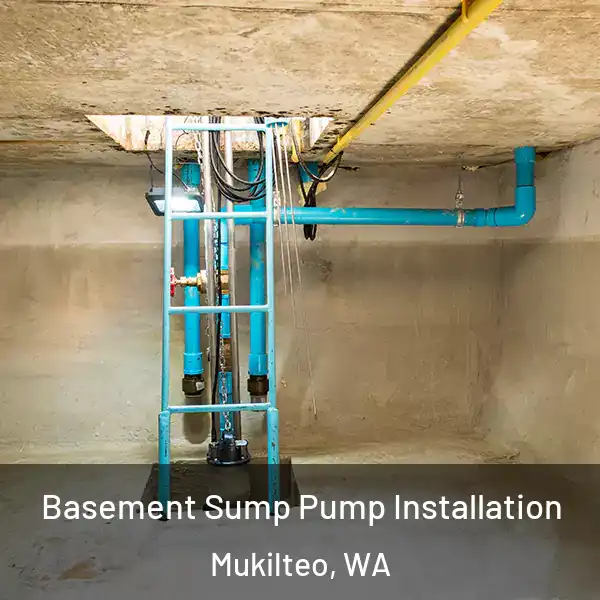  Basement Sump Pump Installation Mukilteo, WA