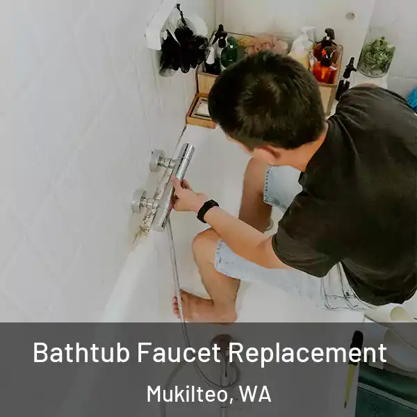  Bathtub Faucet Replacement Mukilteo, WA