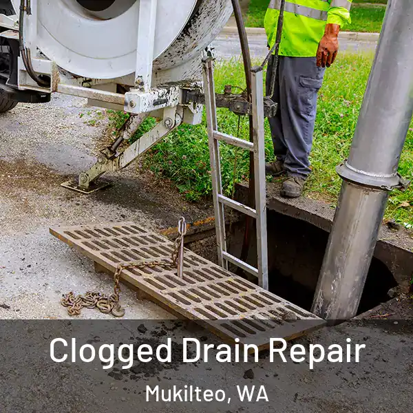  Clogged Drain Repair Mukilteo, WA