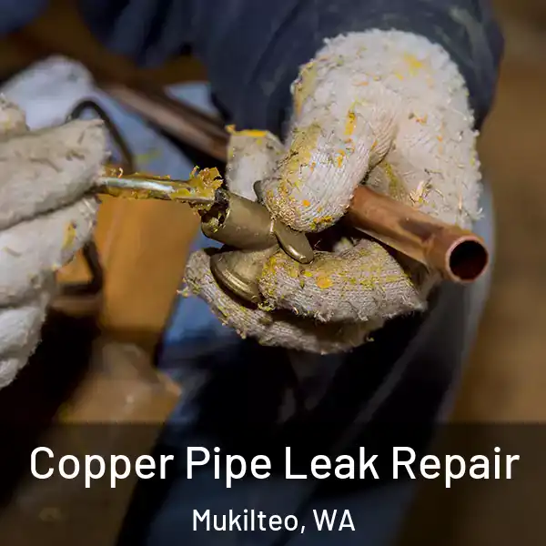  Copper Pipe Leak Repair Mukilteo, WA