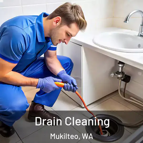  Drain Cleaning Mukilteo, WA