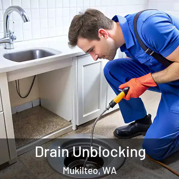  Drain Unblocking Mukilteo, WA