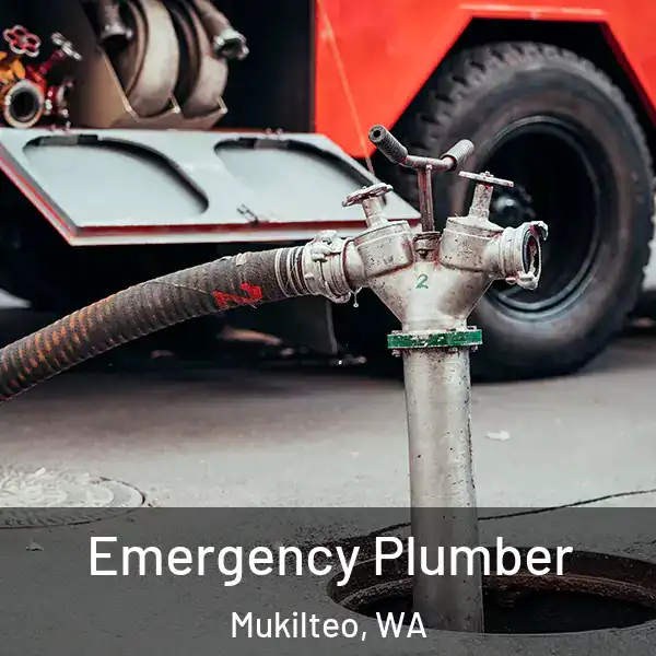  Emergency Plumber Mukilteo, WA