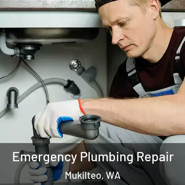  Emergency Plumbing Repair Mukilteo, WA
