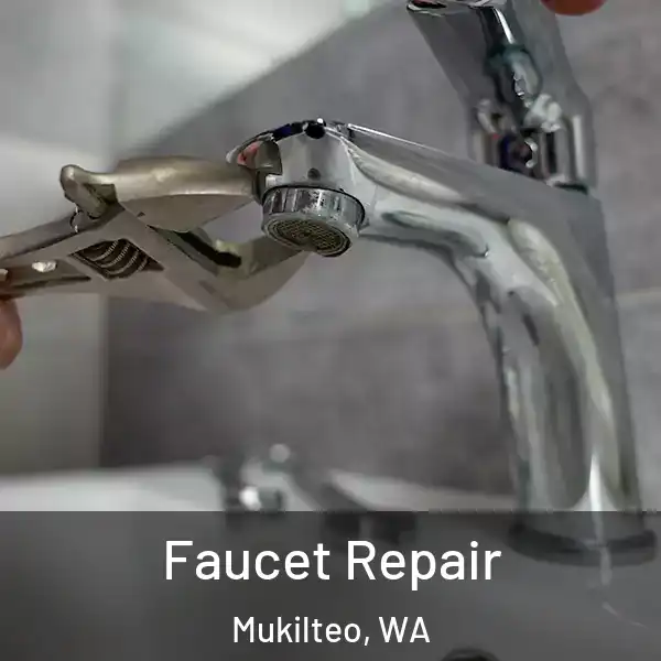  Faucet Repair Mukilteo, WA