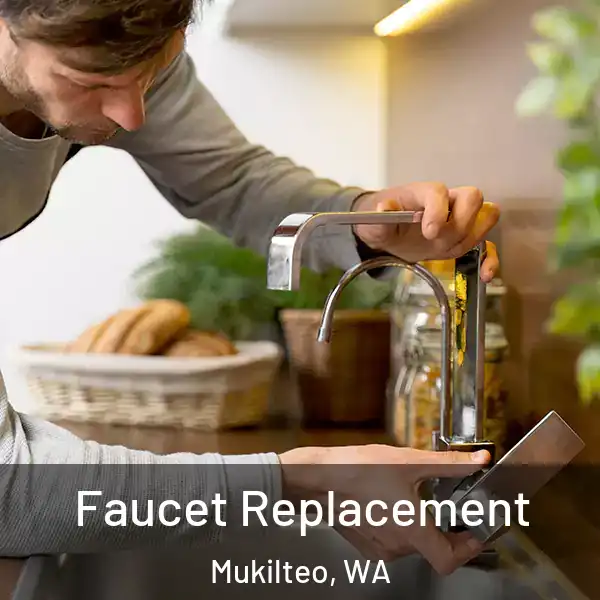 Faucet Replacement Mukilteo, WA