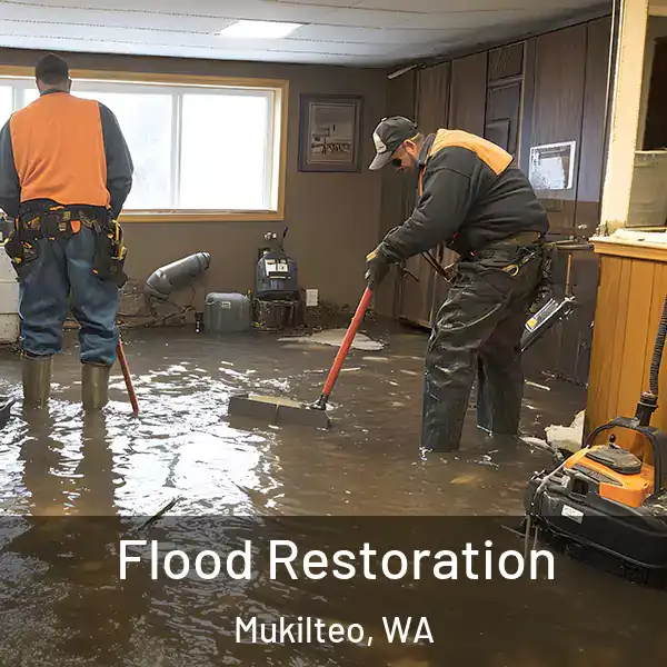  Flood Restoration Mukilteo, WA