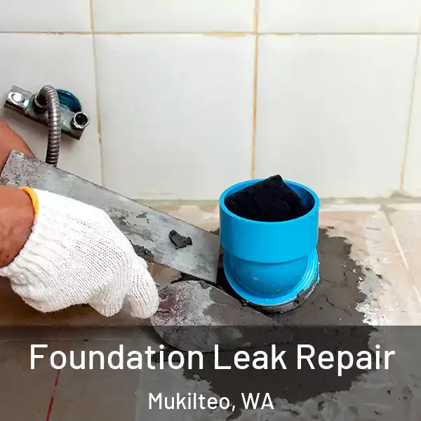  Foundation Leak Repair Mukilteo, WA