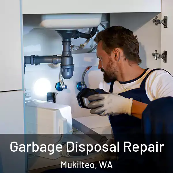  Garbage Disposal Repair Mukilteo, WA