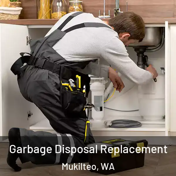  Garbage Disposal Replacement Mukilteo, WA