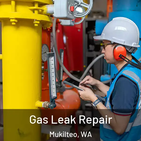  Gas Leak Repair Mukilteo, WA