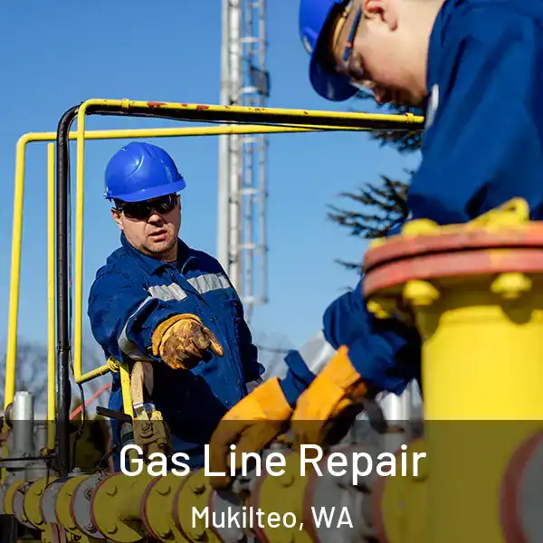  Gas Line Repair Mukilteo, WA