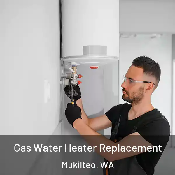  Gas Water Heater Replacement Mukilteo, WA