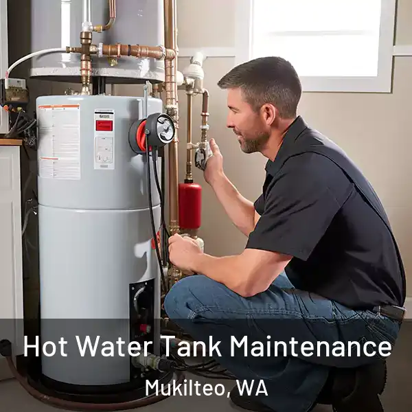  Hot Water Tank Maintenance Mukilteo, WA