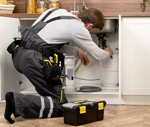 Certified Plumbers for Insinkerator Installation in Mukilteo
