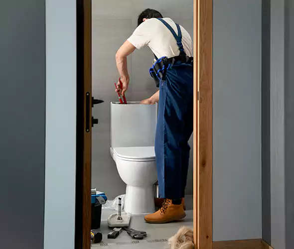 Professional Plumbers for Toilet Bowl Replacement in Mukilteo, WA: Schedule Affordable Toilet Replacement Services With Us