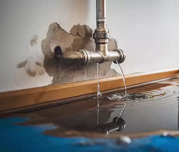 Professional Water Damage Restoration Experts in Mukilteo, WA — Fast, Reliable & Certified
