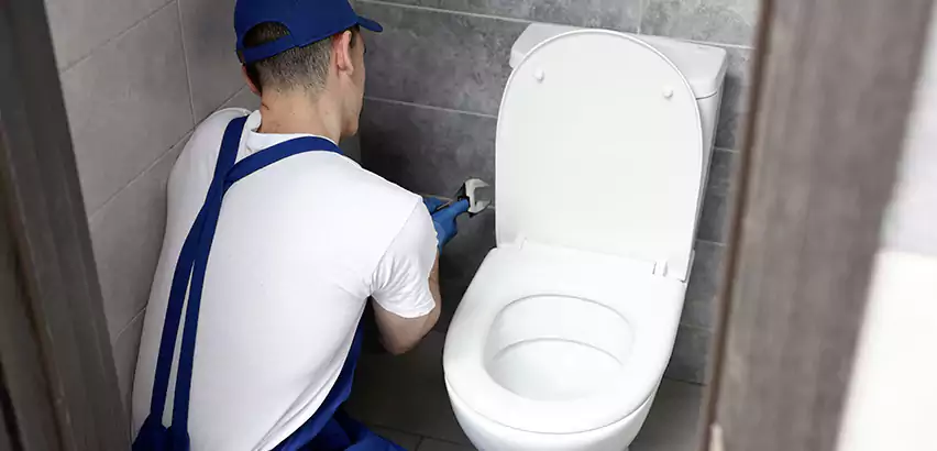 Toilet Lid Replacement in Mukilteo