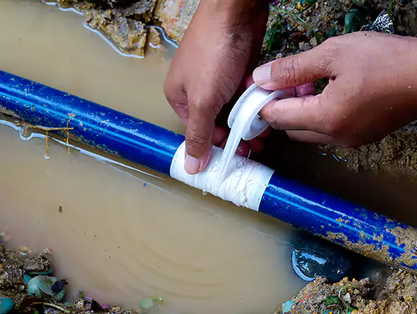  Why Choose Mukilteo Plumbers for Leak Detection in Mukilteo, WA?]