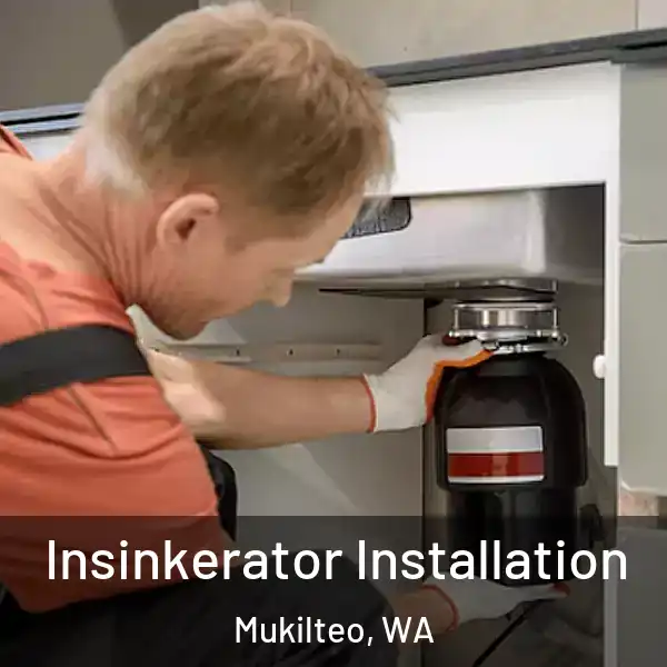  Insinkerator Installation Mukilteo, WA