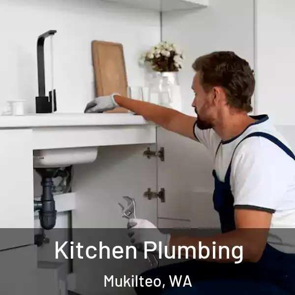  Kitchen Plumbing Mukilteo, WA