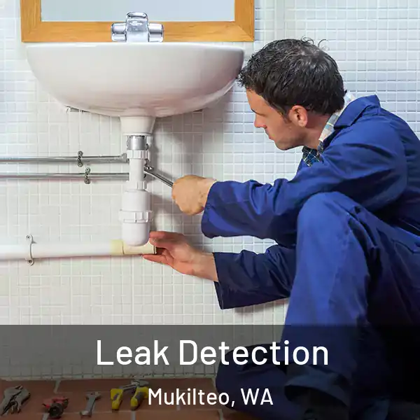  Leak Detection Mukilteo, WA