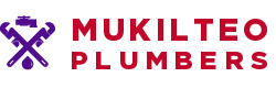 Mukilteo Plumbers