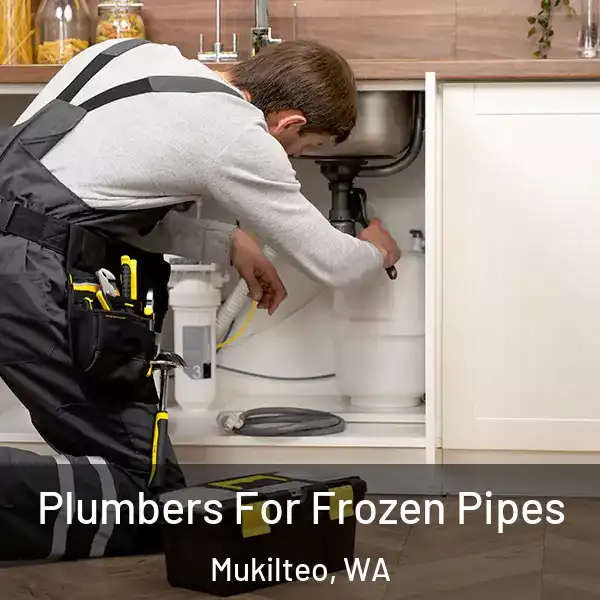  Plumbers For Frozen Pipes Mukilteo, WA