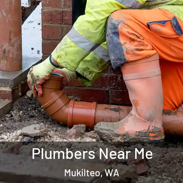  Plumbers Near Me Mukilteo, WA