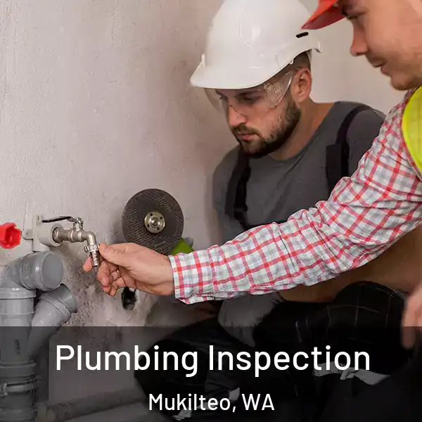 Plumbing Inspection Mukilteo, WA