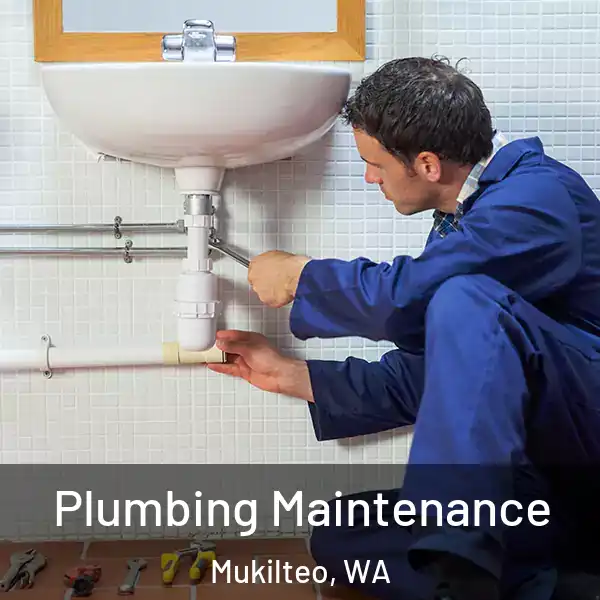  Plumbing Maintenance Mukilteo, WA
