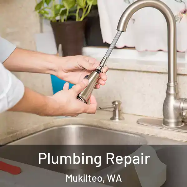  Plumbing Repair Mukilteo, WA