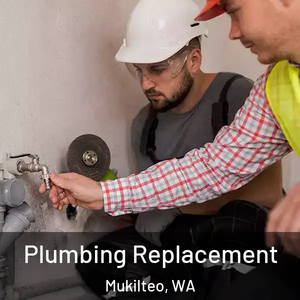  Plumbing Replacement Mukilteo, WA