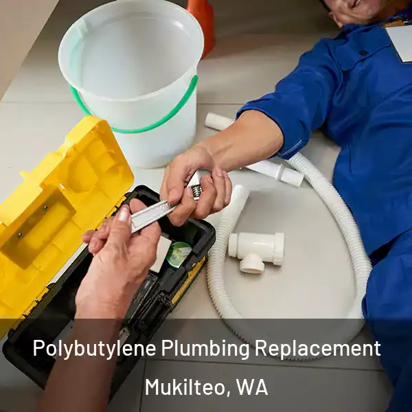  Polybutylene Plumbing Replacement Mukilteo, WA
