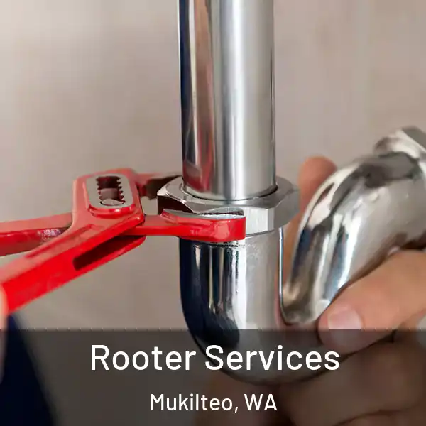  Rooter Services Mukilteo, WA