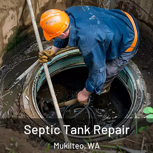  Septic Tank Repair Mukilteo, WA