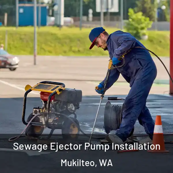  Sewage Ejector Pump Installation Mukilteo, WA