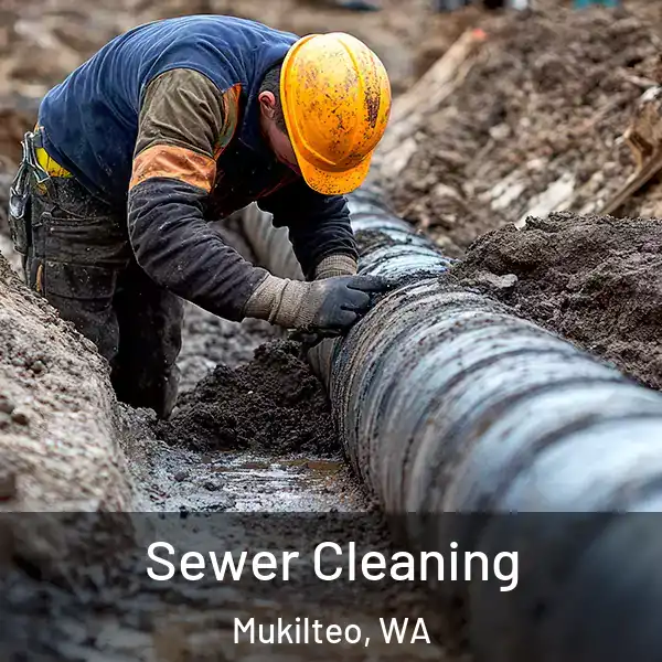  Sewer Cleaning Mukilteo, WA