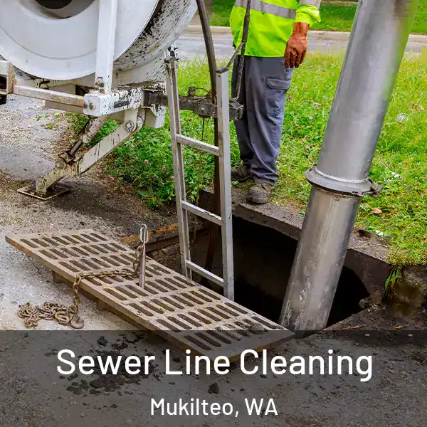  Sewer Line Cleaning Mukilteo, WA