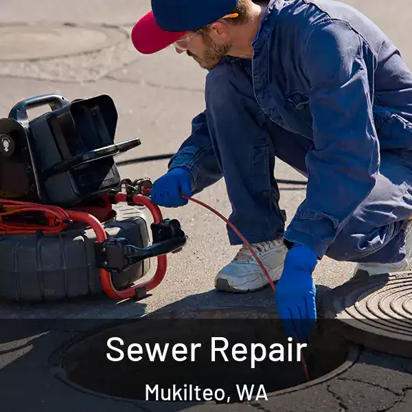  Sewer Repair Mukilteo, WA