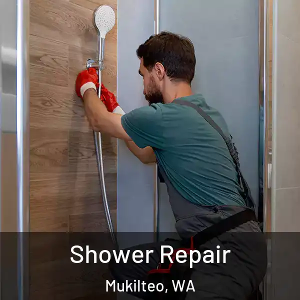  Shower Repair Mukilteo, WA