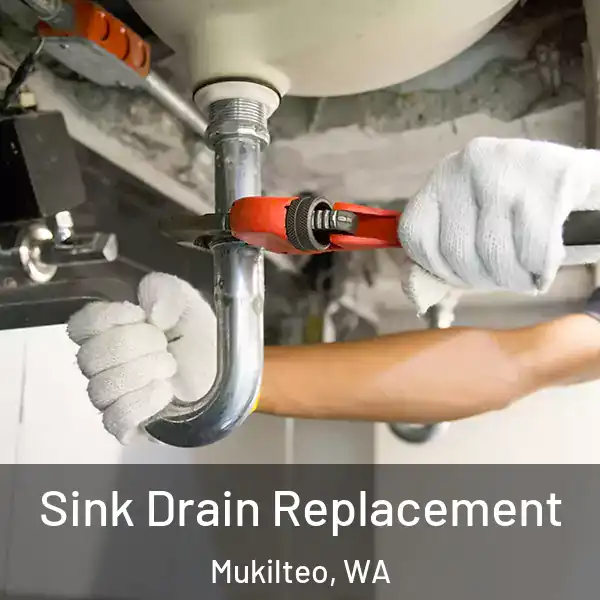  Sink Drain Replacement Mukilteo, WA