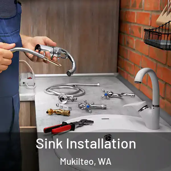  Sink Installation Mukilteo, WA