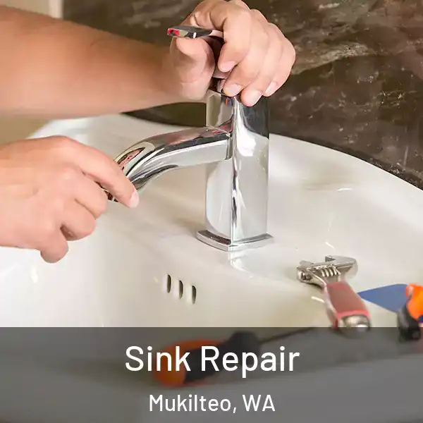  Sink Repair Mukilteo, WA
