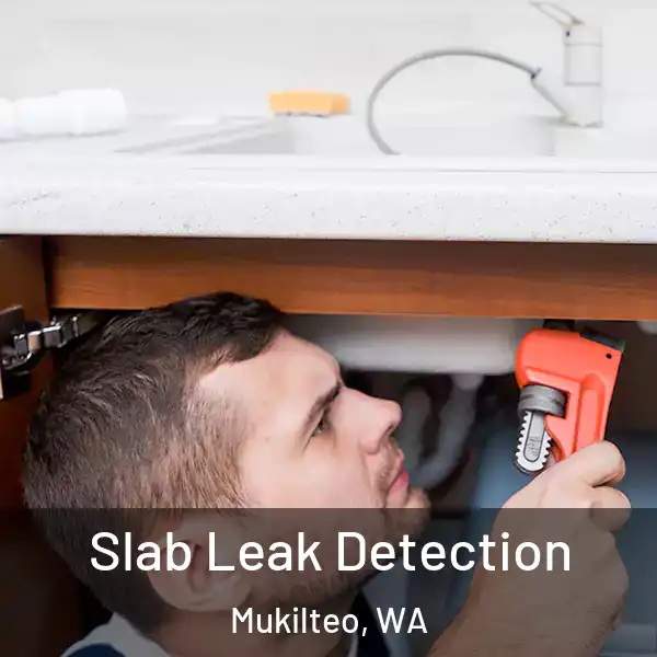  Slab Leak Detection Mukilteo, WA
