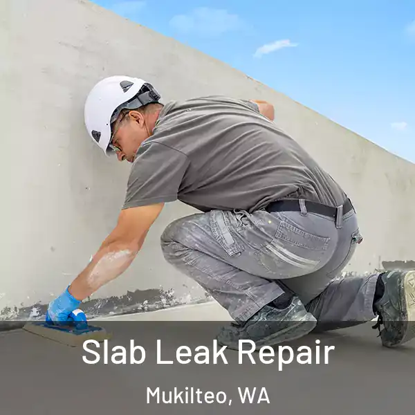  Slab Leak Repair Mukilteo, WA