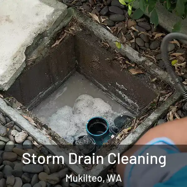  Storm Drain Cleaning Mukilteo, WA