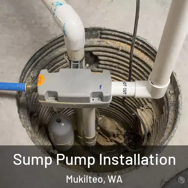  Sump Pump Installation Mukilteo, WA